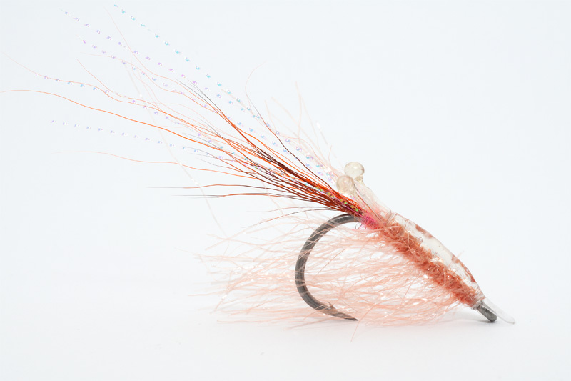 super-long-hair-pink-shrimp