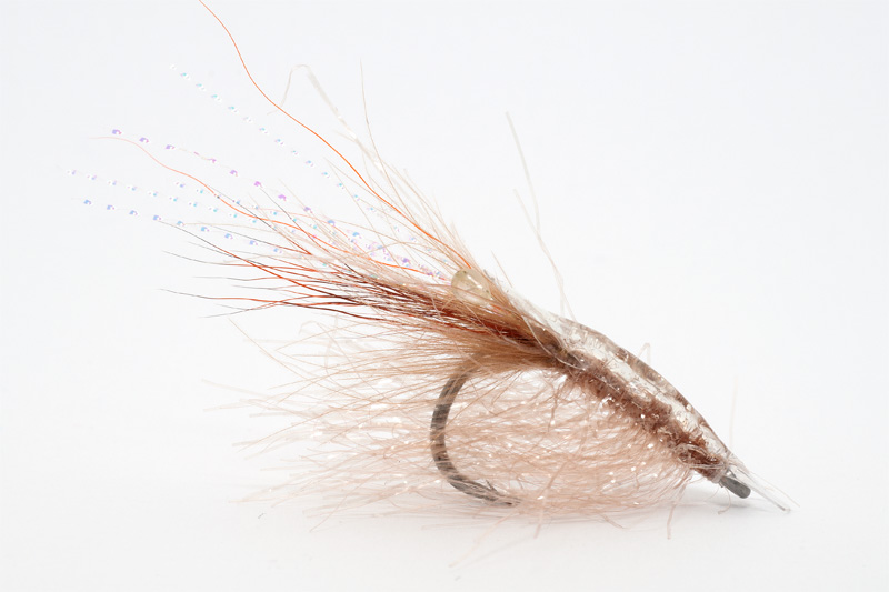 super-long-hair-shrimp