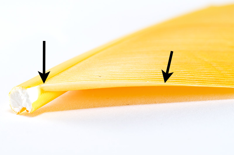 step-4-flytying.ro-active-part-of-a-biot by Lucian Vasies