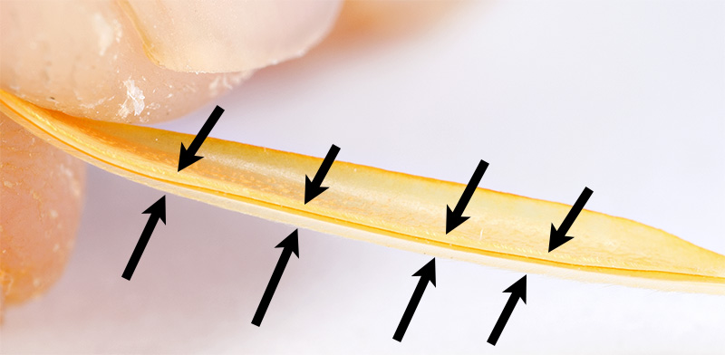 step-5-flytying.ro-the-T-side-of-biot by Lucian Vasies