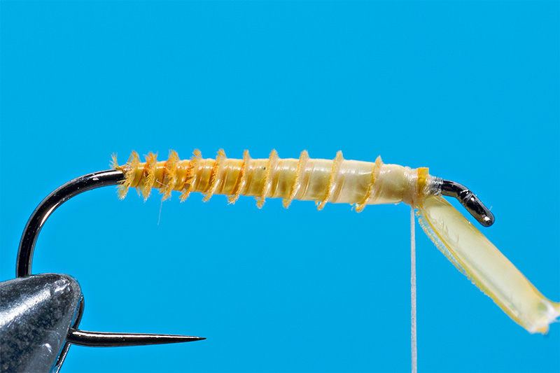 step-7-flytying.ro-body-with-biot by Lucian Vasies