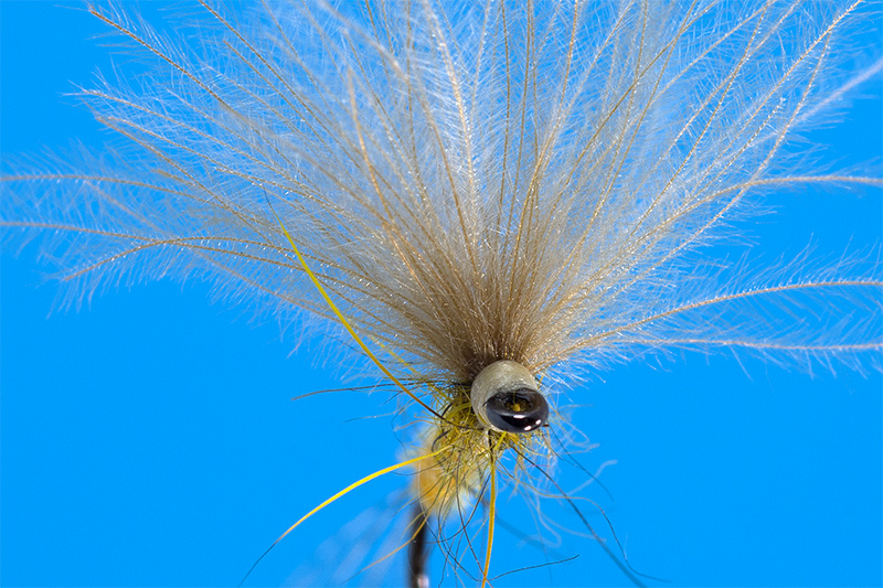 dun-fly-tied-with-spread-CDC-wing